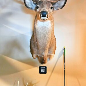 Trophy Premium